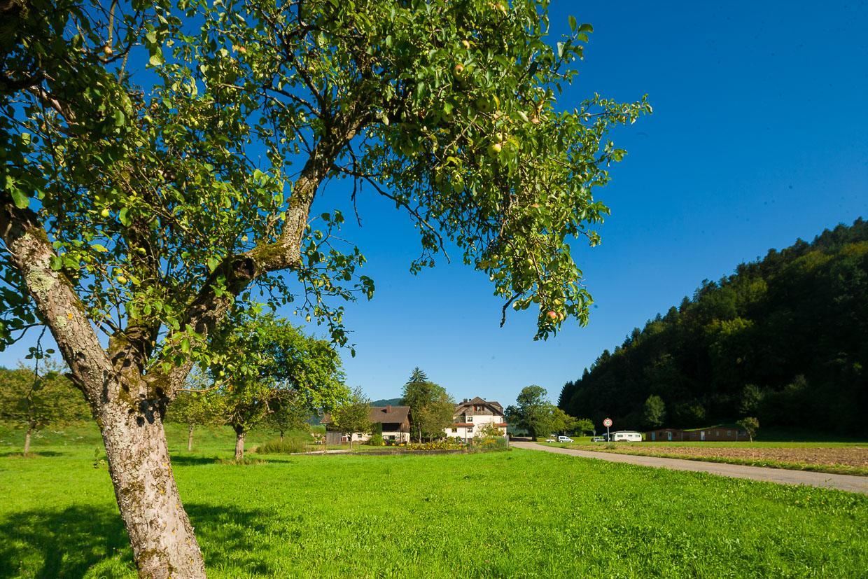 Landgasthof Kinzigstrand Biberach bei Offenburg Luaran gambar